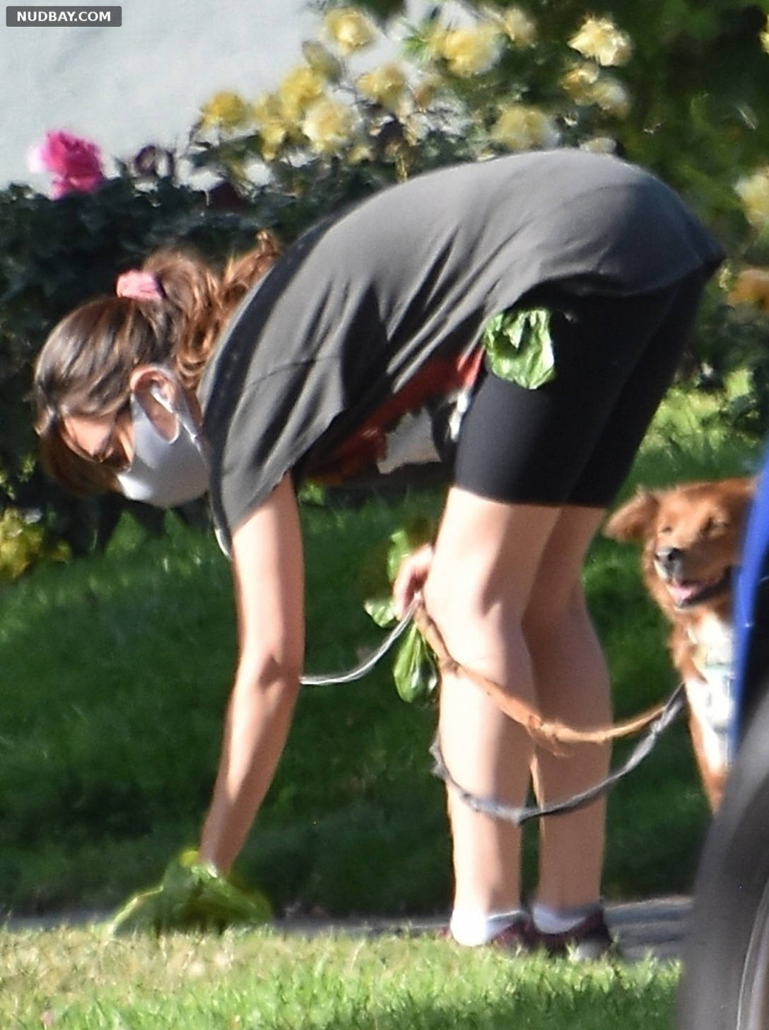 Aubrey Plaza walking her dogs in Los Feliz Apr 20 2021