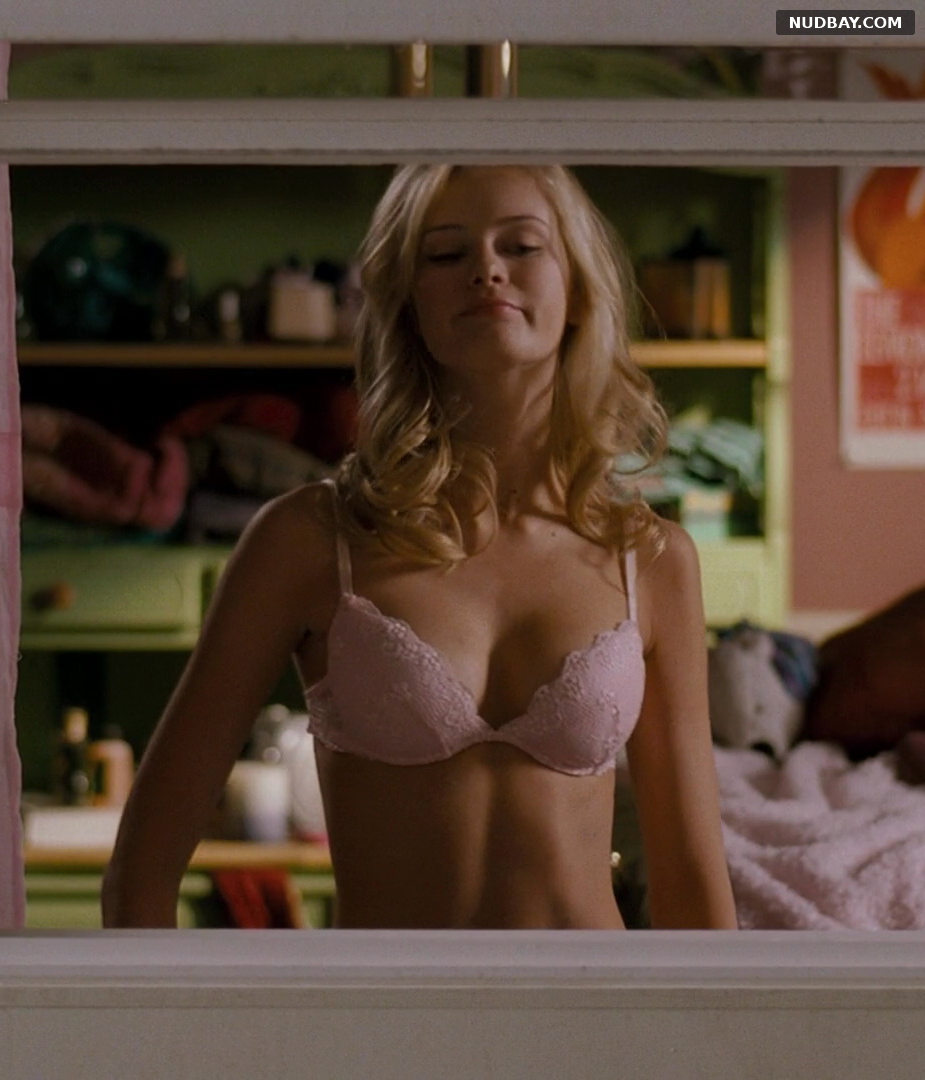 Sara Paxton nude in Superhero Movie (2008)