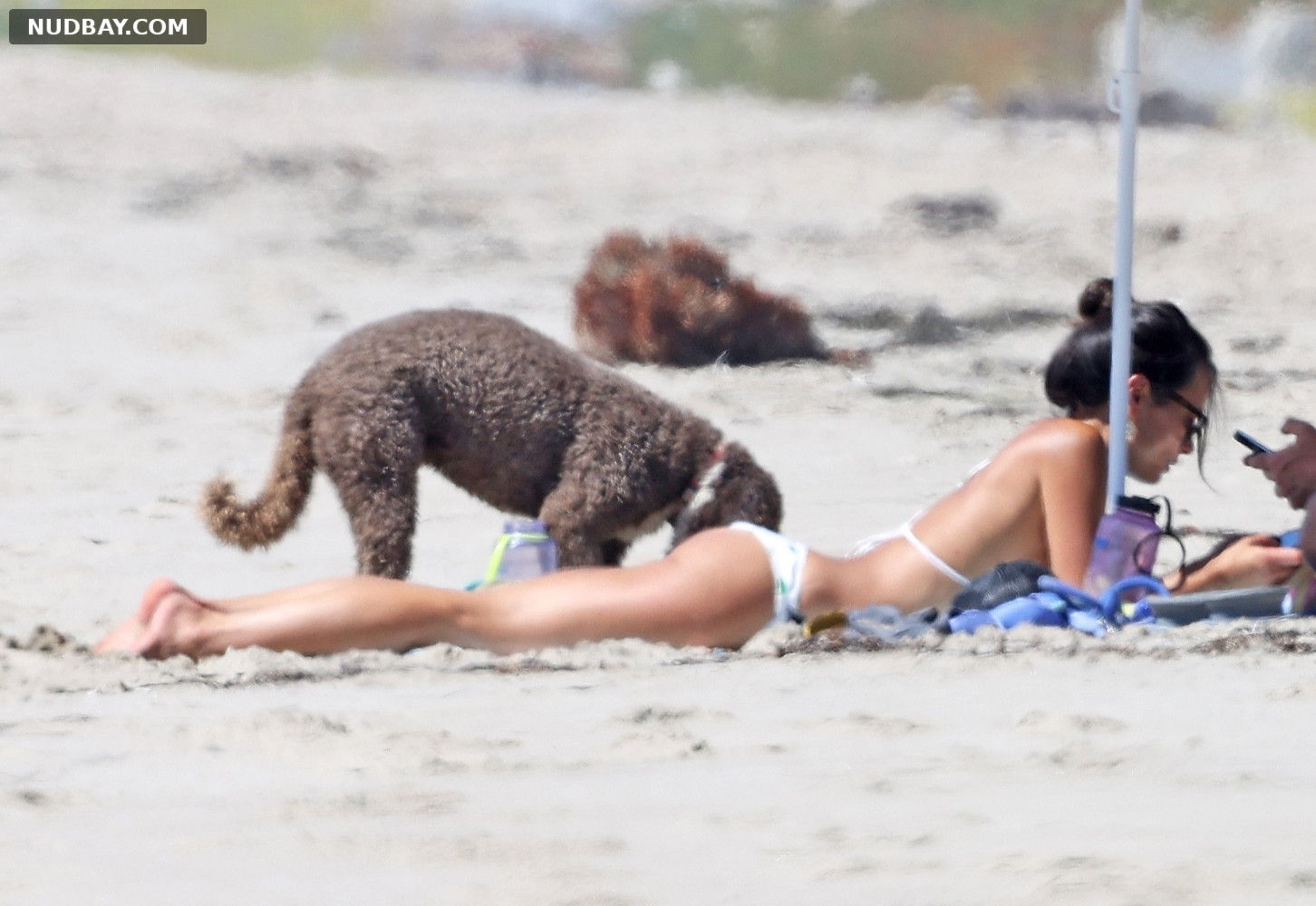 Jordana Brewster Juicy Ass on the beach in California Sep 24 2022
