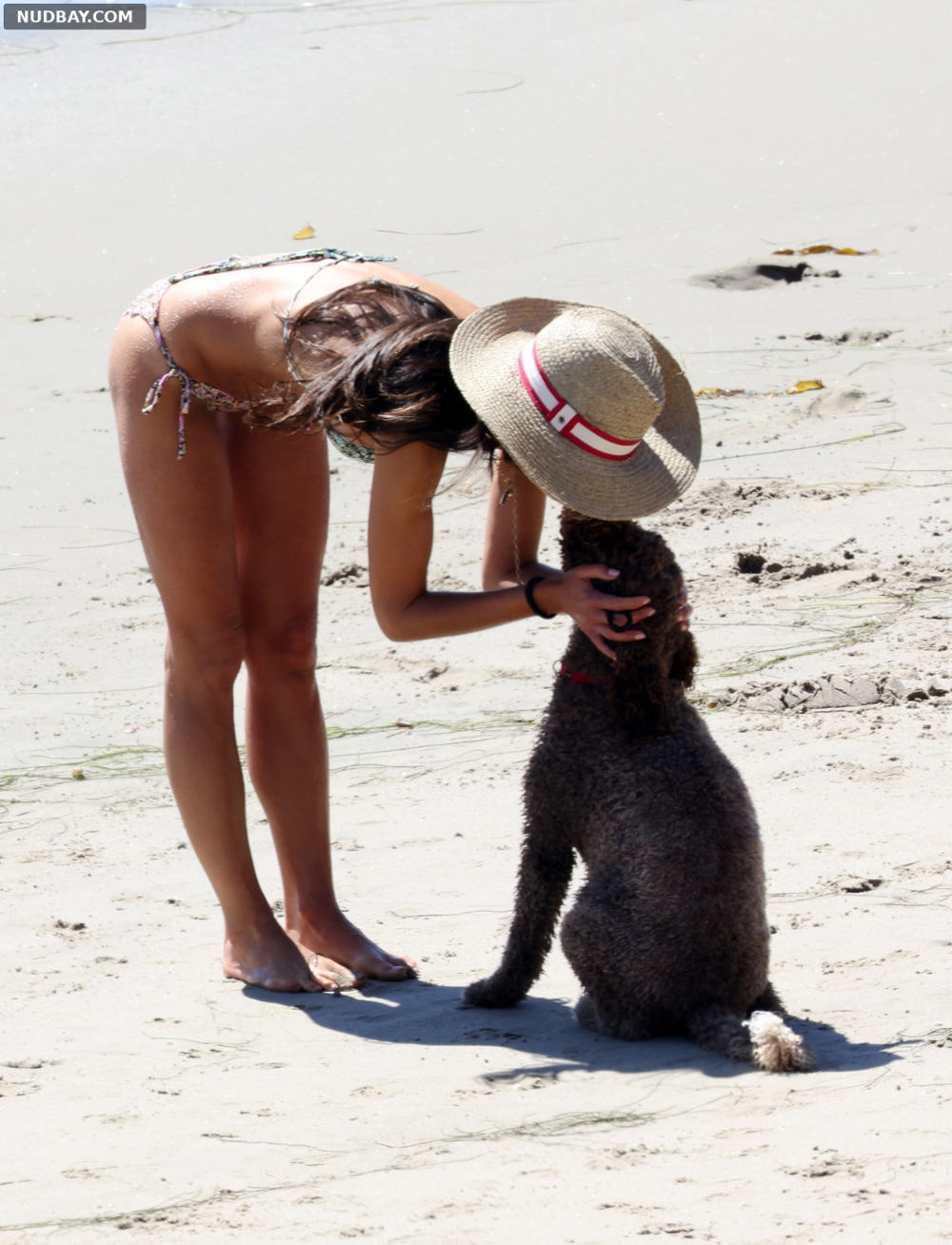 Jordana Brewster in Bikini at a Beach in Santa Barbara 2022