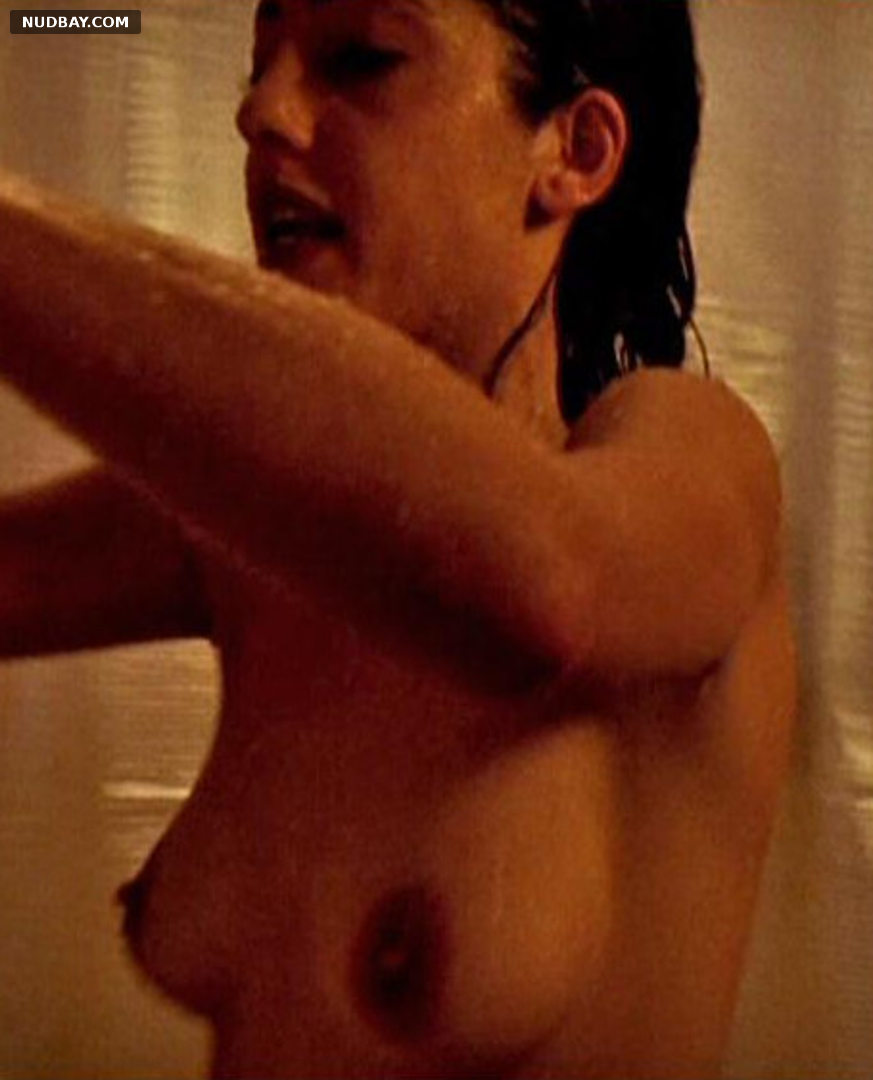 Anne Nahabedian nude in The Hunger (1997)