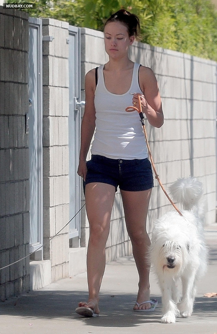 Olivia Wilde takes her two dogs for a walk in LA 2009
